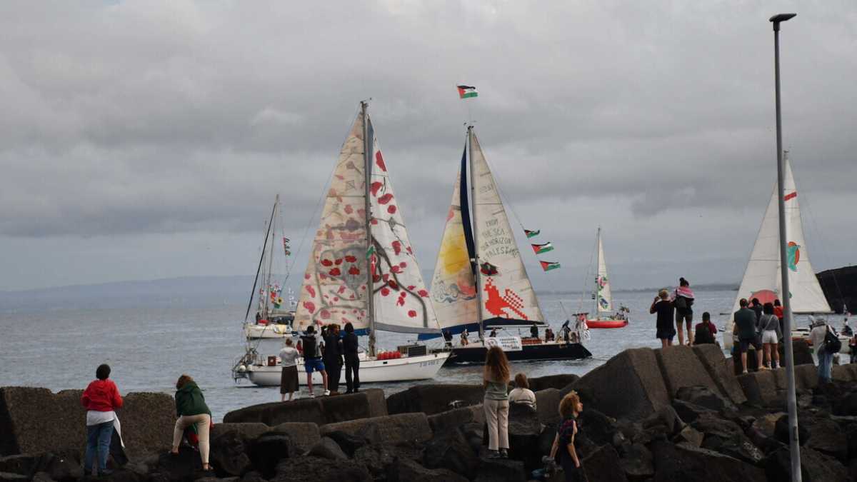 Immagine di La Flotilla verso Gaza. Il Pd: "Ci fermeremo all'alt di Israele". M5s: "Forziamo blocco navale"