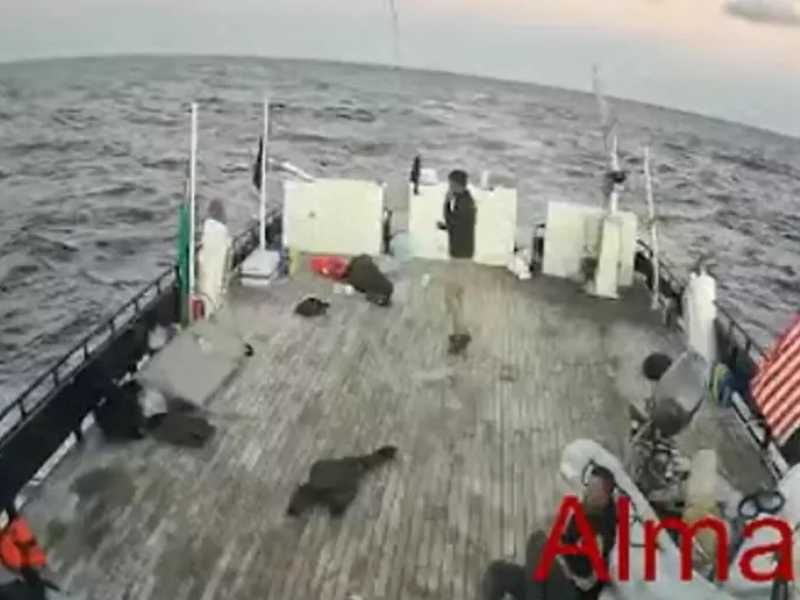 Israele abborda le navi della flotilla. Tajani: "Italiani in Israele ed espulsi entro due giorni"