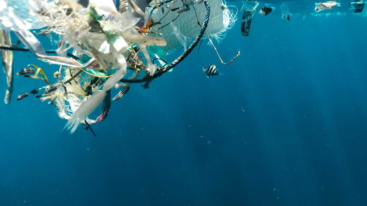 Immagine di Il mare, l’inquinamento e i volti celebri delle foto di Fabrizio Ferri