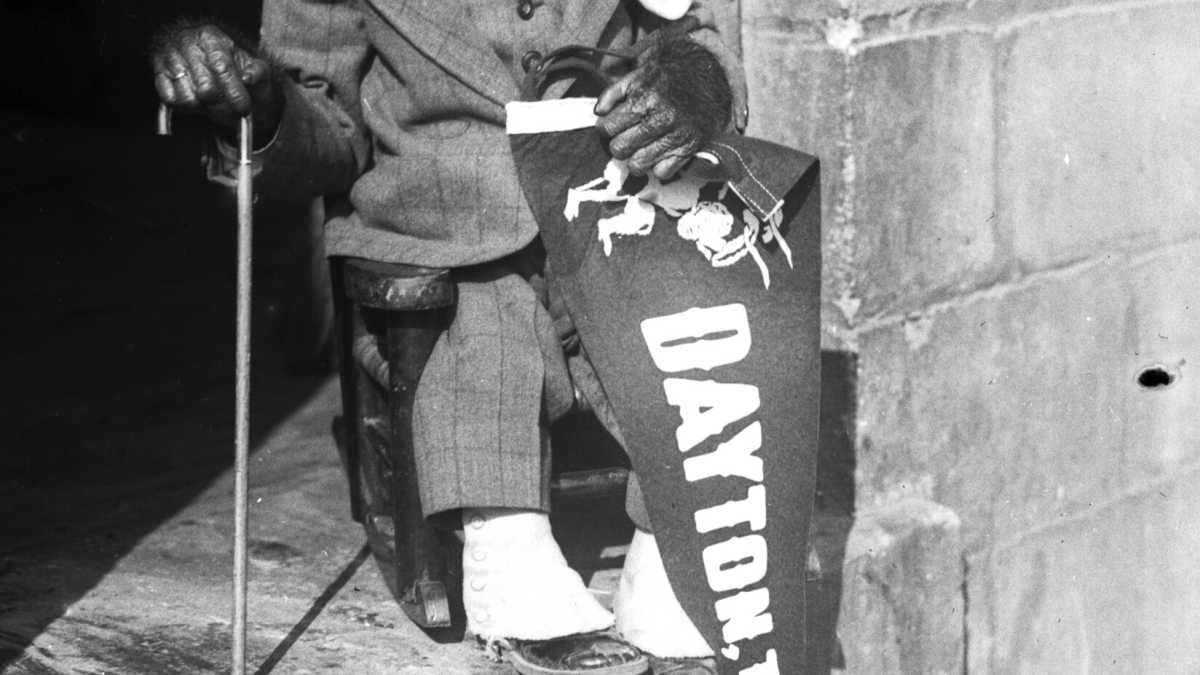 Immagine di Imputato Darwin, alzatevi. Storia del processo Scopes nel Tennessee degli anni Venti