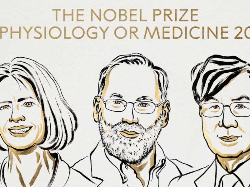 Mary E. Brunkow, Fred Ramsdell e Shimon Sakaguchi hanno vinto il Nobel per la Medicina 2025&nbsp;<br />