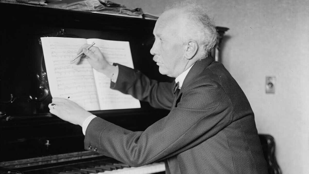 Immagine di Due stelle per Strauss
