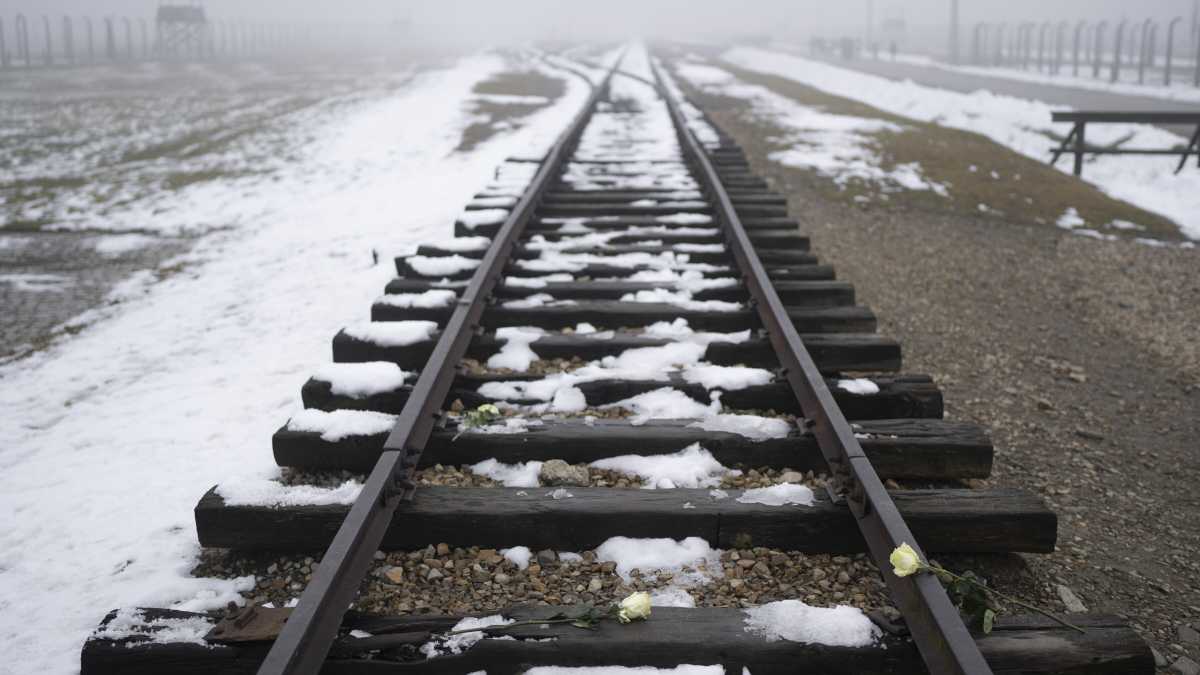 Immagine di Le parole improvvide di Roccella su Auschwitz e la lezione di Guccini