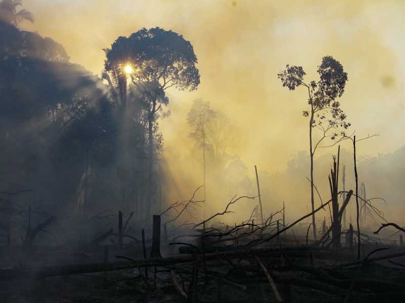 Le emissioni di C02 aumentano e ci ricordano cosa sbaglia la politica quando parla di clima