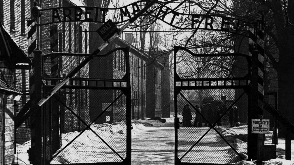 Immagine di La storia di Elena, deportata tutta sola ad Auschwitz a undici anni raccontata da Fabrizio Rondolino