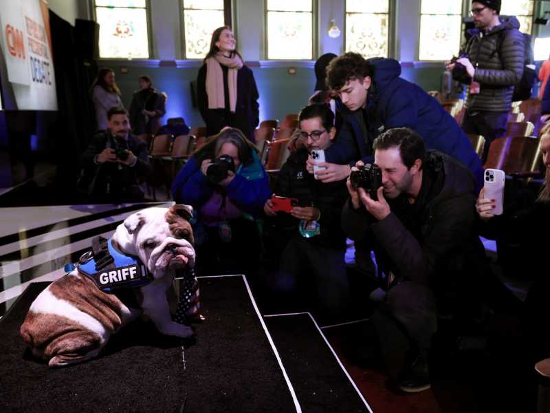 Il cane Griff, mascotte della Drake University in Iowa (foto Getty) <br />
