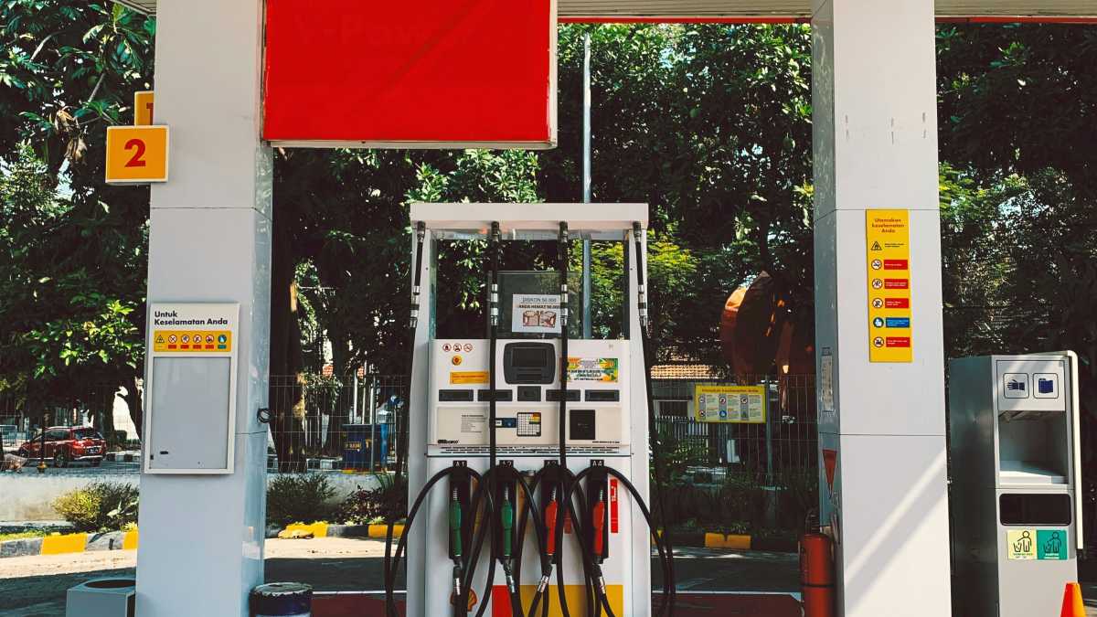 Immagine di L'auto elettrica è nemica di tutte le persone indipendenti