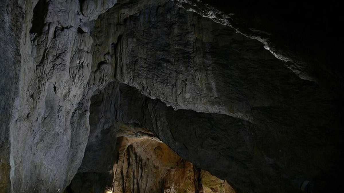 Immagine di La parola migrante evoca paura, ma la nostra esistenza è il risultato di un’antica catena di spostamenti