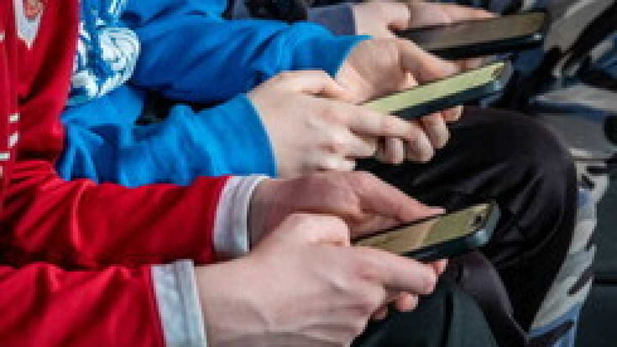 Immagine di Le piattaforme digitali amplificano i nostri istinti tribali
