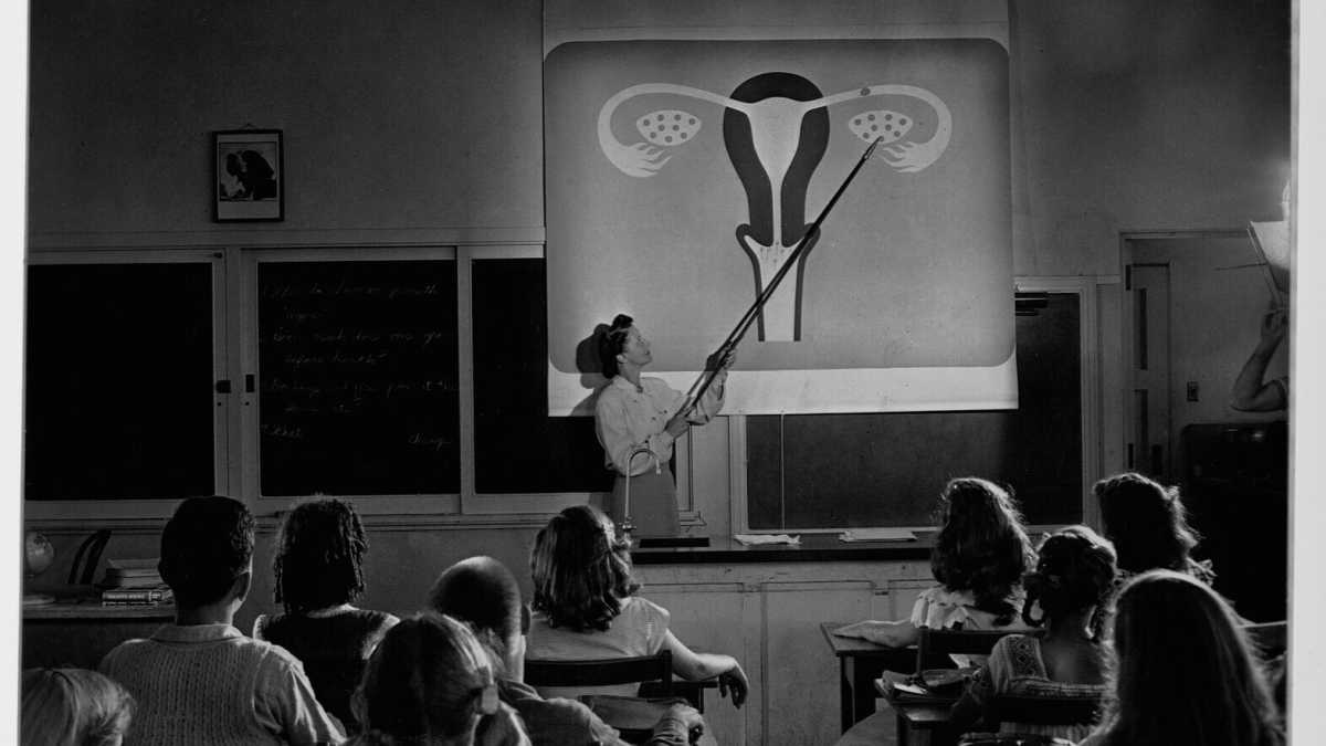 Immagine di Per un’educazione sentimentale meglio Flaubert che una lezioncina scolastica