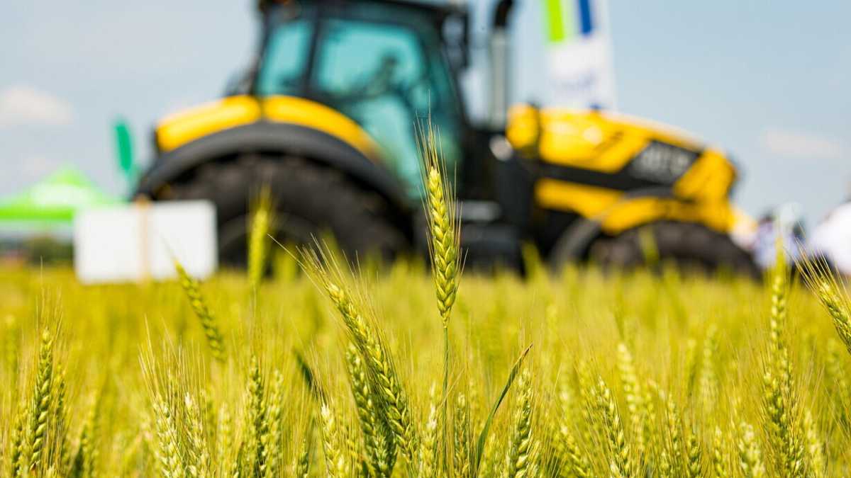 Immagine di Gli occupati agricoli under 35 aumentano del 18 per cento. Buona notizia? Solo in parte