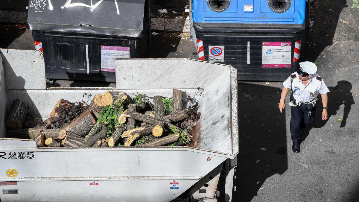 Immagine di La disfida sugli abbattimenti degli alberi