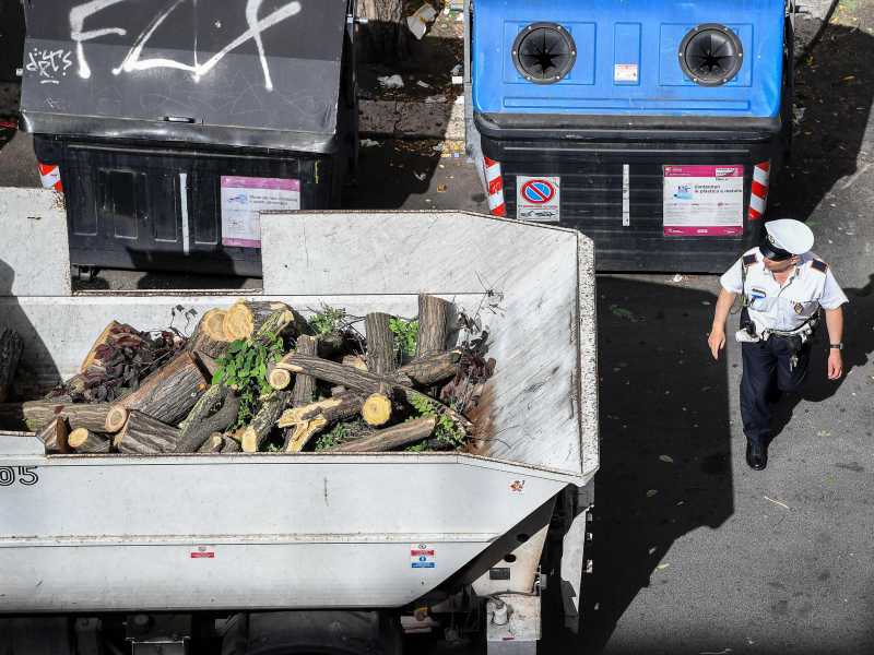 La disfida sugli abbattimenti degli alberi