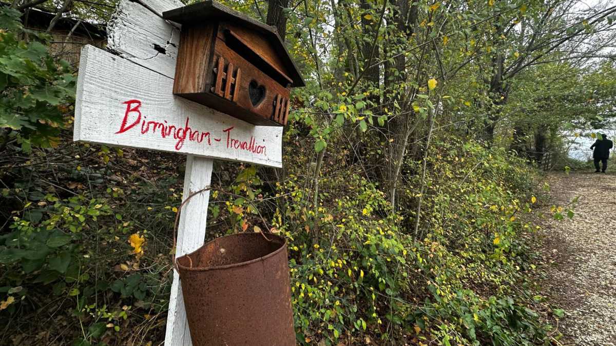 Immagine di Sui bambini nel bosco per una volta ha ragione Salvini
