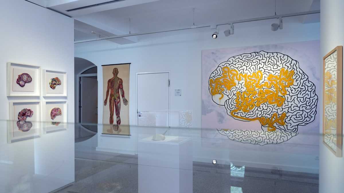 Immagine di Nuove evidenze sullo sviluppo neurale: genetica e ambiente non sono opposti