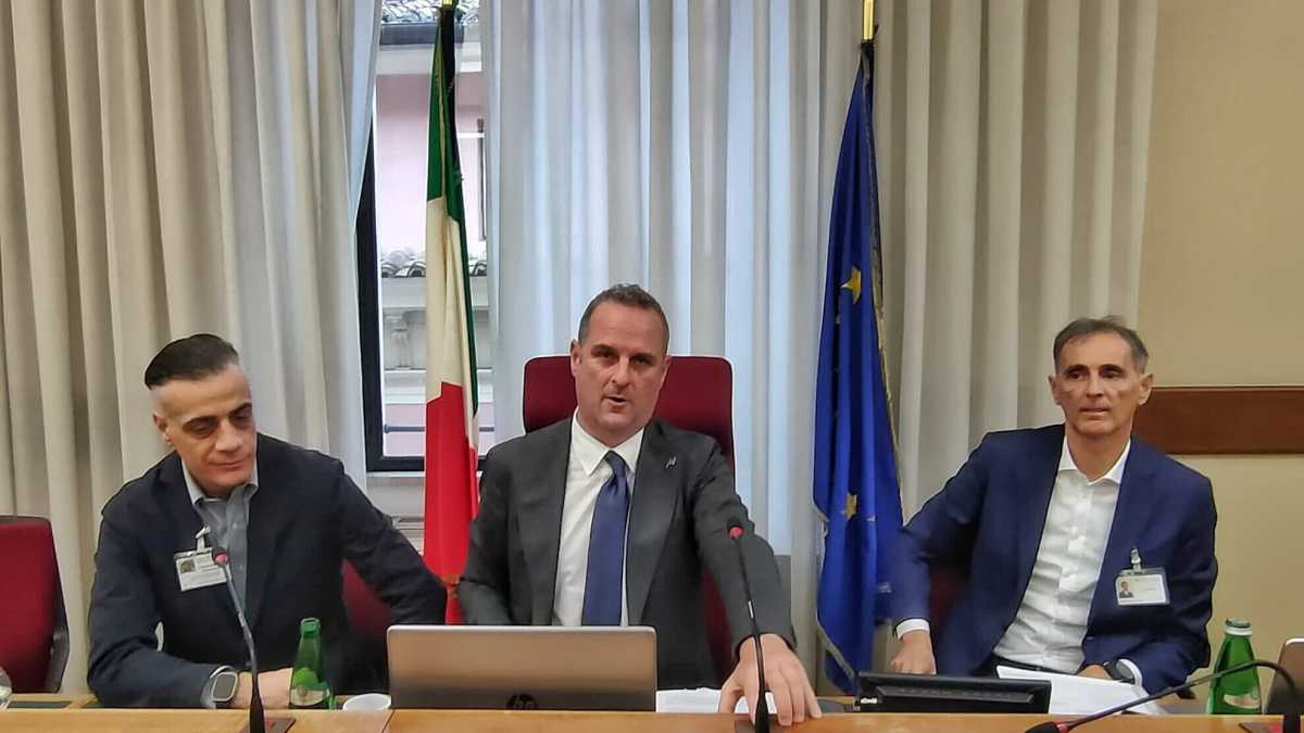 Immagine di Cicalone in Parlamento (in audizione)