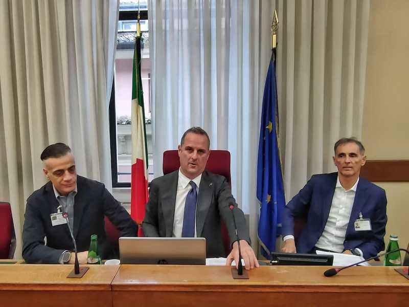 Cicalone in Parlamento (in audizione)