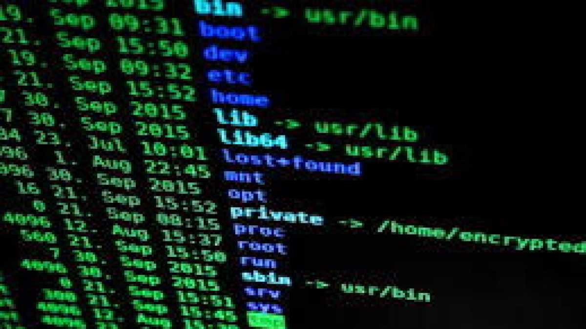 Immagine di La poesia mette in crisi i sistemi di sicurezza dei modelli linguistici