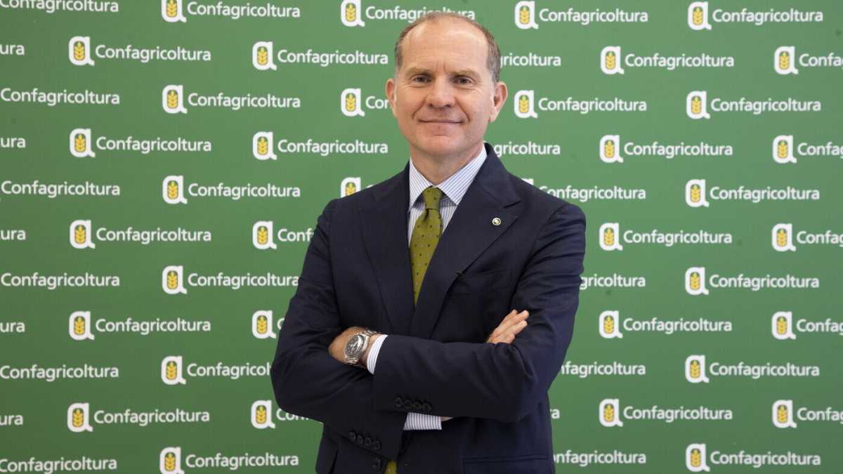 Immagine di “L’agricoltura non vuole fare la fine dell’automotive”. Parla Giansanti