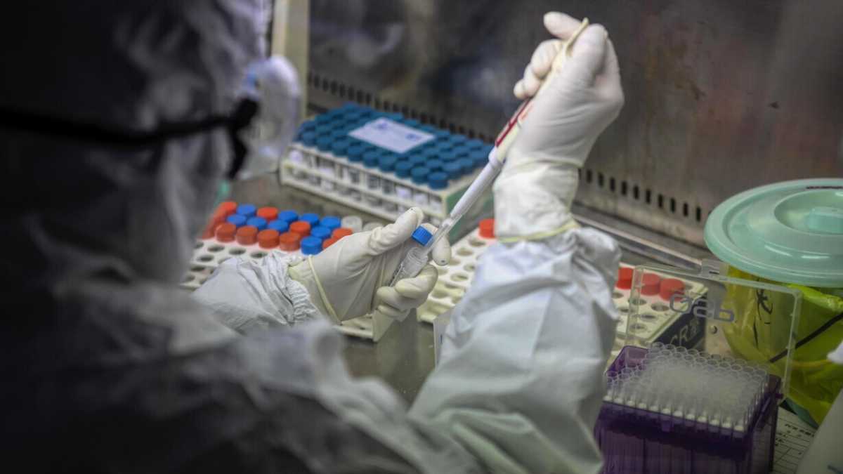 Immagine di Come funzionano gli RNA intelligenti per terapie mirate su tumori e altre malattie