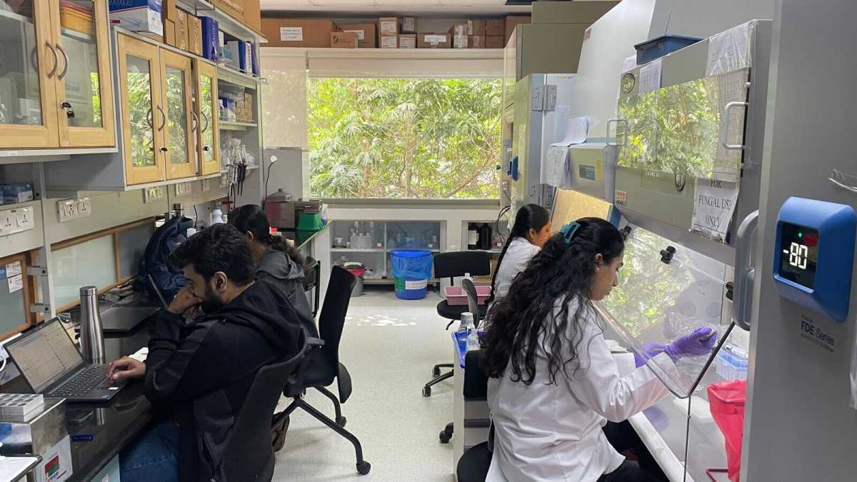 Immagine di Ecco a voi la Silicon India