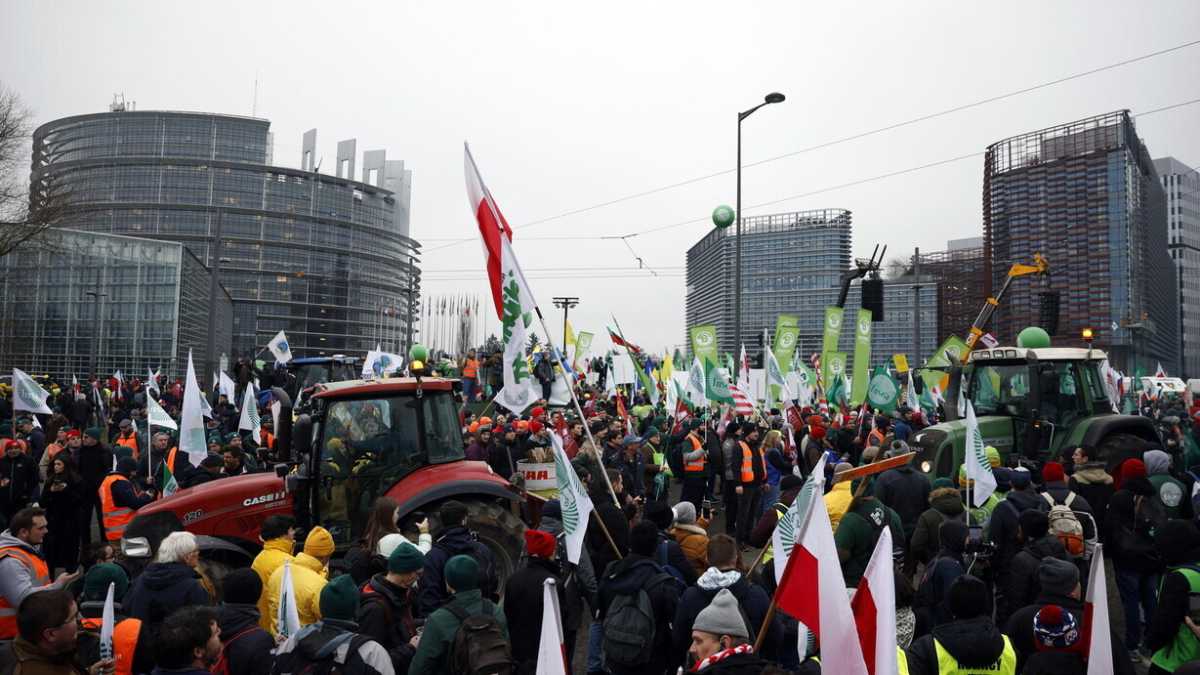 Immagine di Sul Mercosur torna l'asse giallo-verde. Lega e M5s al fianco degli agricoltori a Strasburgo