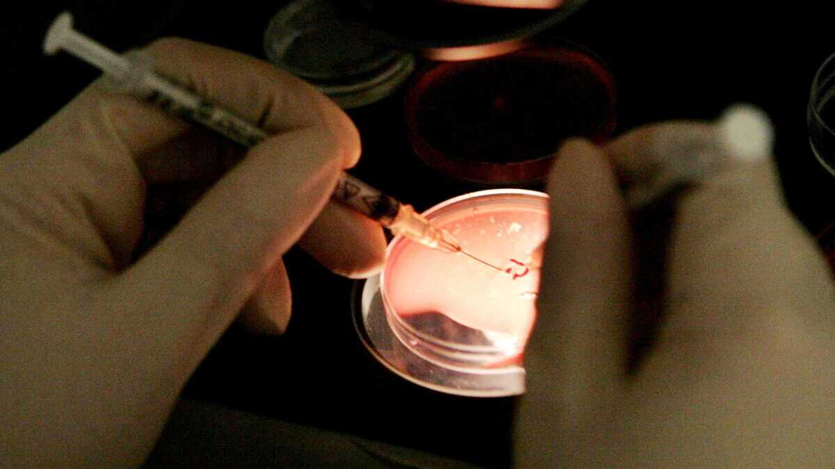 Immagine di Se il welfare aziendale predica la crio-conservazione degli ovociti