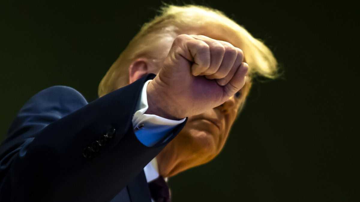 Immagine di Beati coloro che restano illesi dalla volgarità di Trump