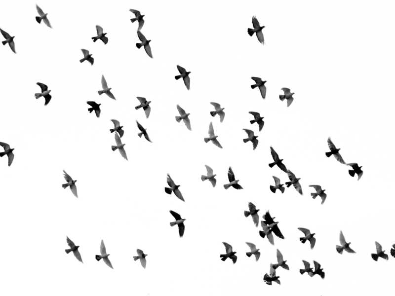 Foto di Mehdi Sepehri su Unsplash