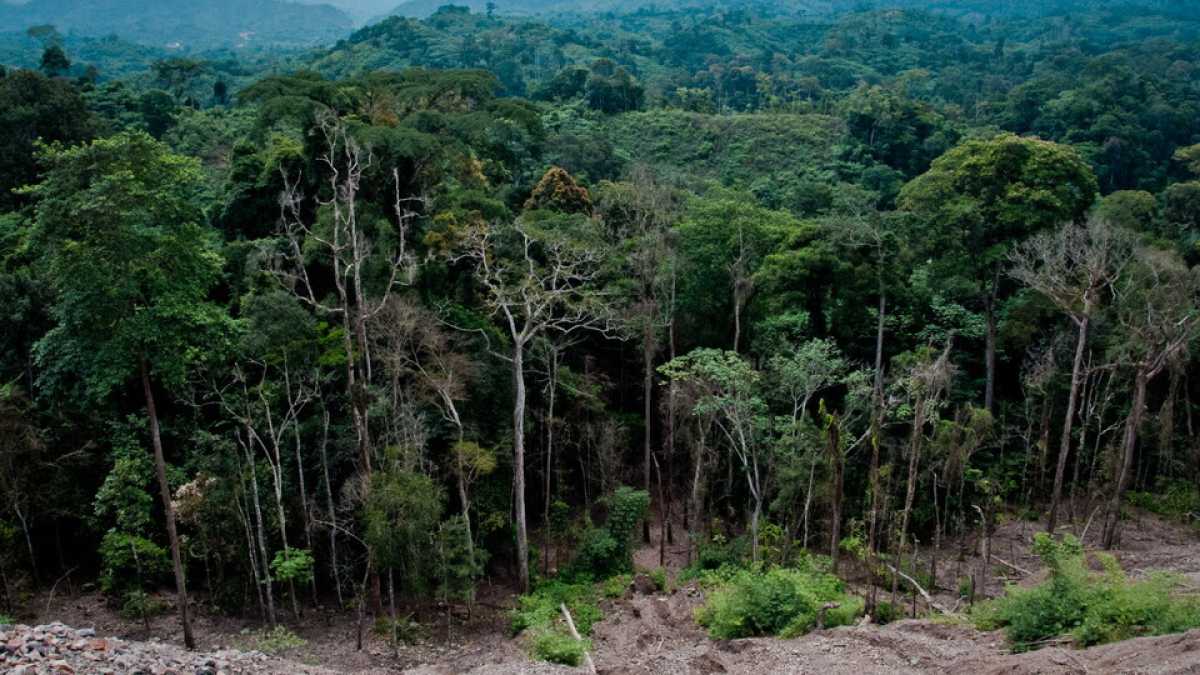 Immagine di La questione alimentare è uno dei motori principali della crisi ecologica