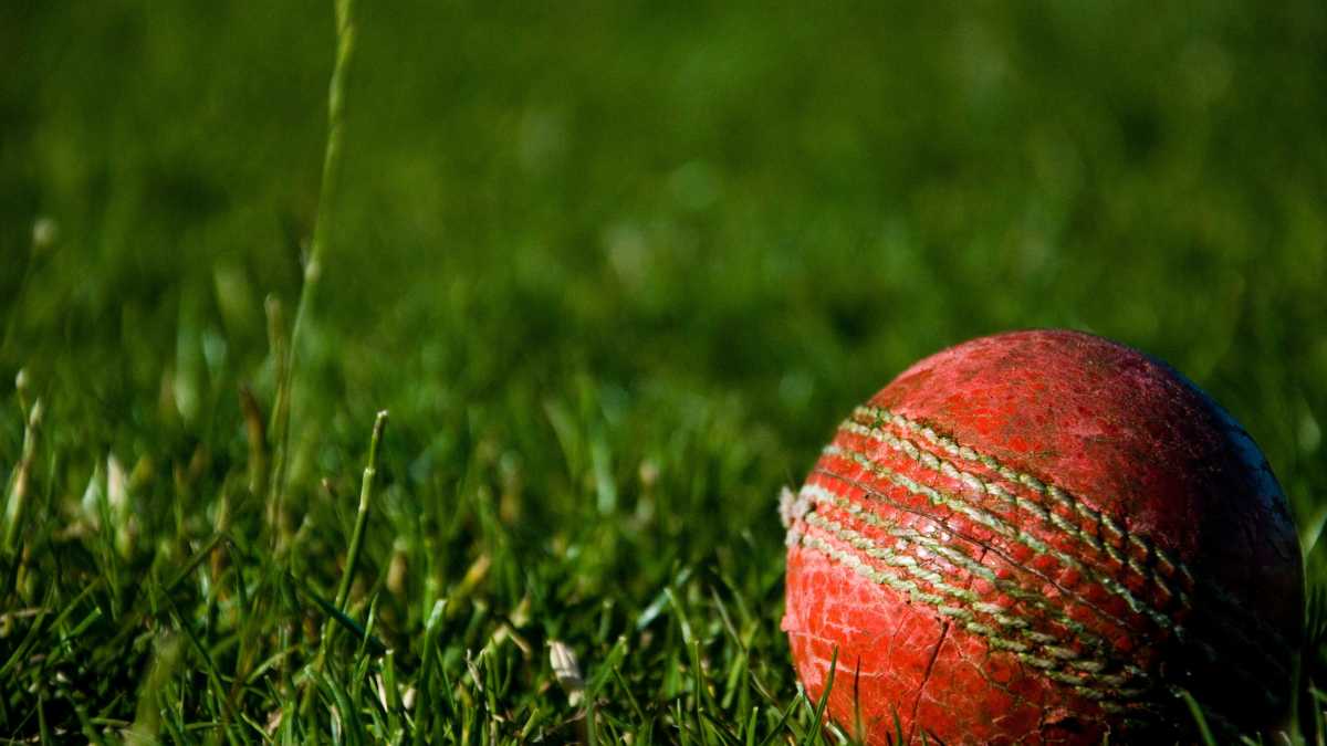 Immagine di La Nazionale che cerca campioni in rete. L'Italia del cricket mondiale