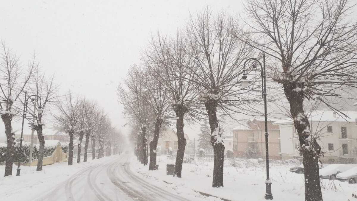 Immagine di Il piccolo capro espiatorio della linea 30