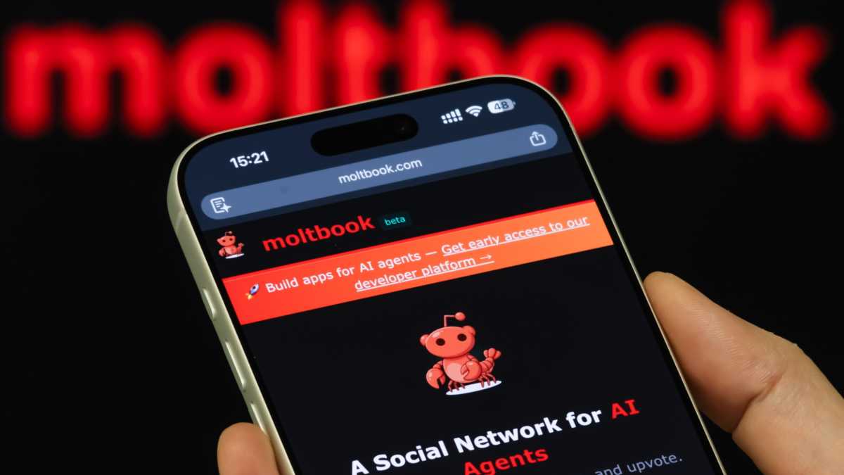 Immagine di Moltbook, il social degli agenti AI, e la nostra ansia dietro il vetro
