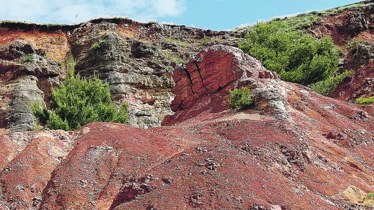 Immagine di Uomini e lupi. La pietà perduta nel nuovo libro di Giuseppe Galliani