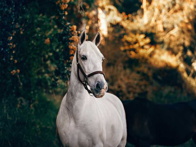 Foto di Helena Lopes su Unsplash