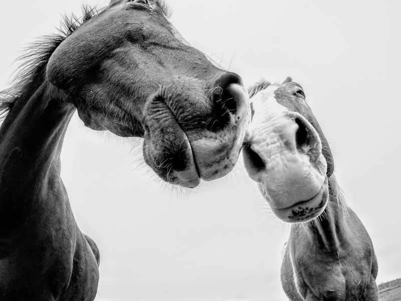 Foto di Vivian Arcidiacono su Unsplash&nbsp;