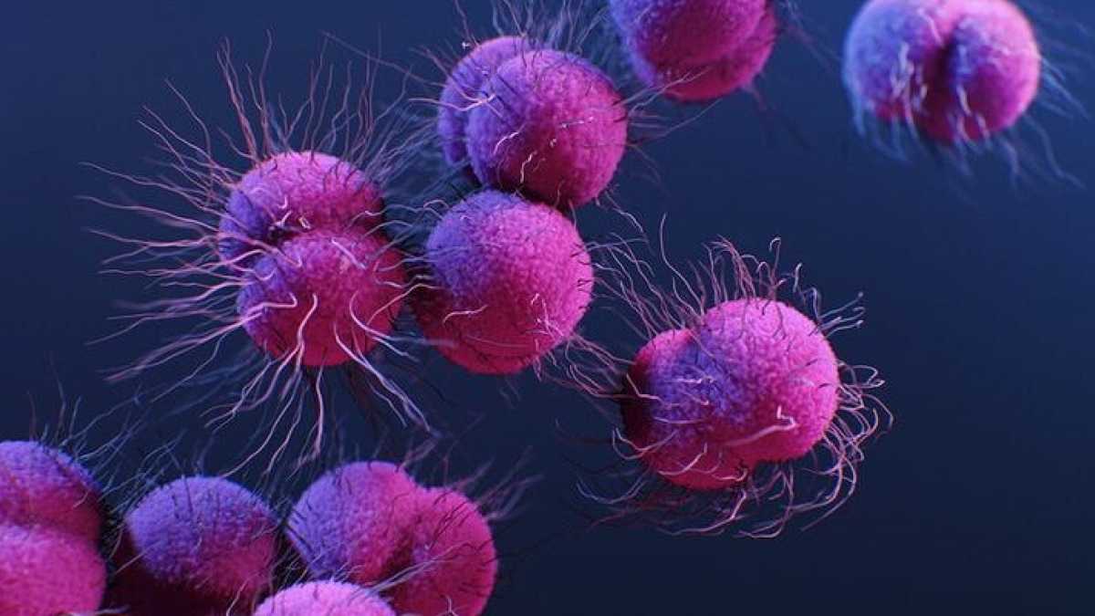 Immagine di L'idea di una vaccinazione contro il carcinoma mammario triplo negativo. Lo studio