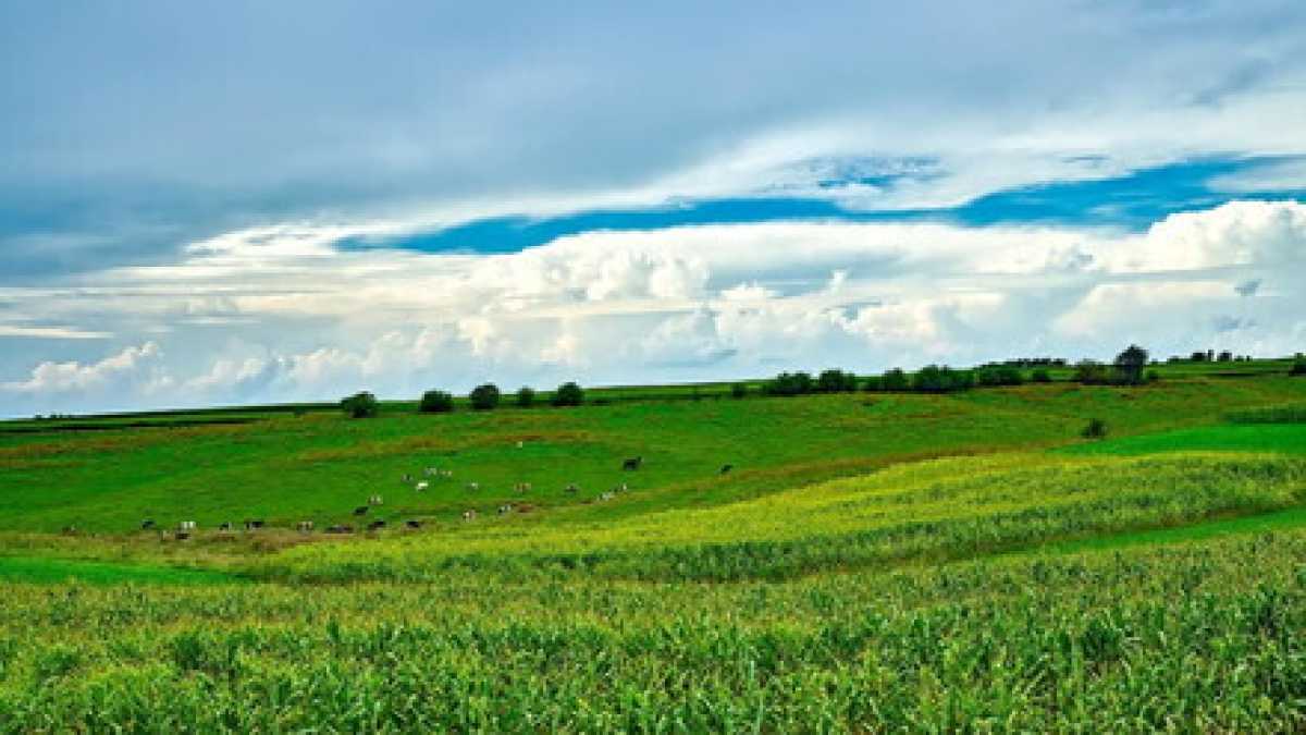 Immagine di Storia di una diserzione e di una fattoria sperduta. Un soldato col rossetto