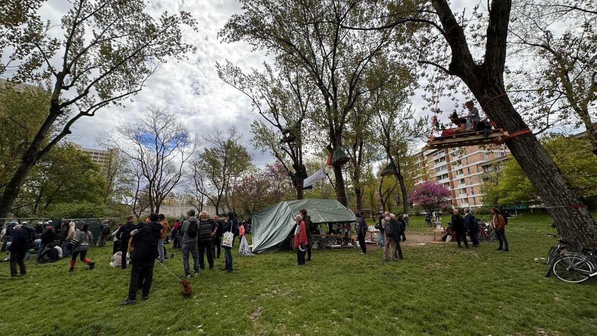 Immagine di A Bologna l'albero ha sempre ragione. La battaglia di Mu.Basta contro un Museo dei bambini