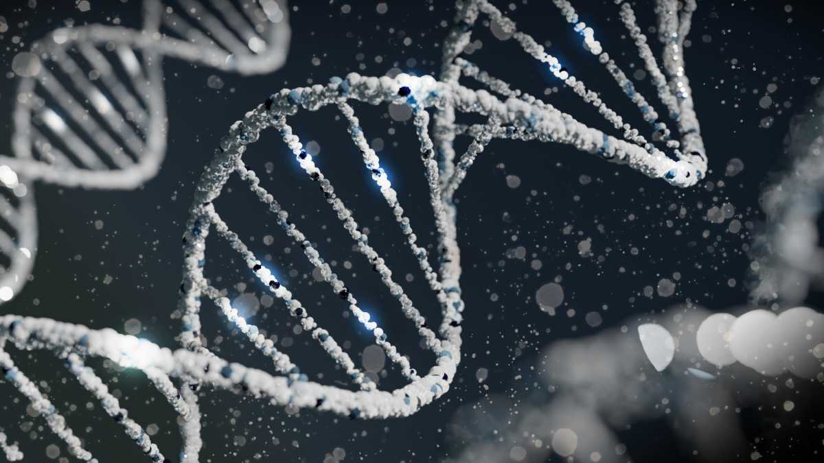 Immagine di Tanti livelli intrecciati. La selezione naturale non è un processo lineare