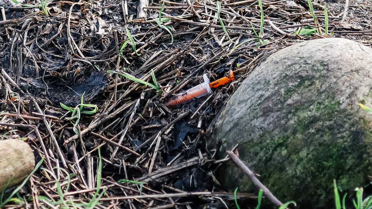 Immagine di Le lacrimevoli balle di politica e giornali sul bosco di Rogoredo