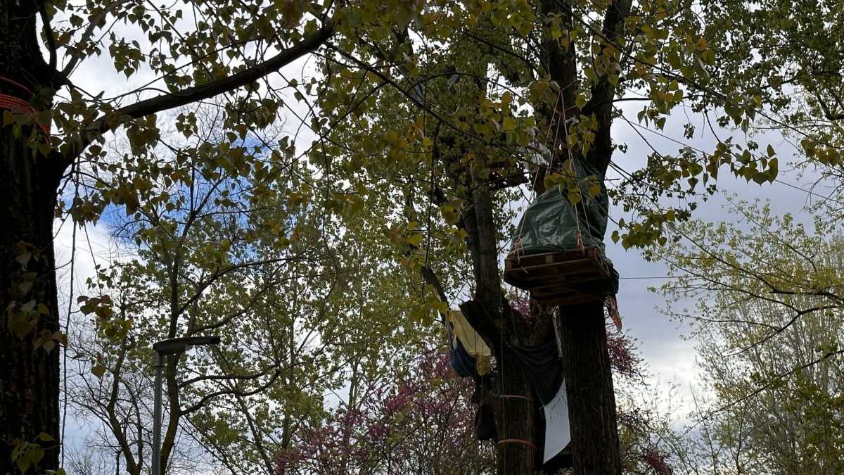 Immagine di Madrid: "Sul Museo dei bambini andiamo avanti. Le proteste del Mu.Basta sono un accanimento"