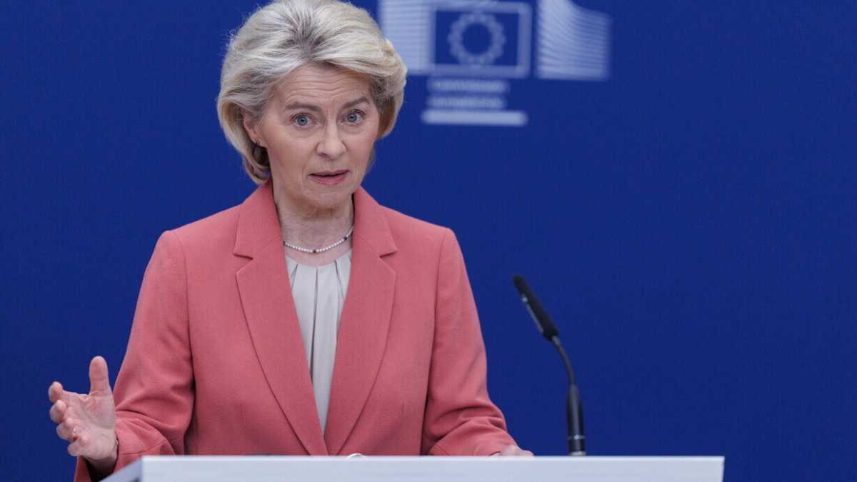 Immagine di L'Ue applicherà l'accordo col Mercosur "in via provvisoria". Dissapori tra Lega e Forza Italia