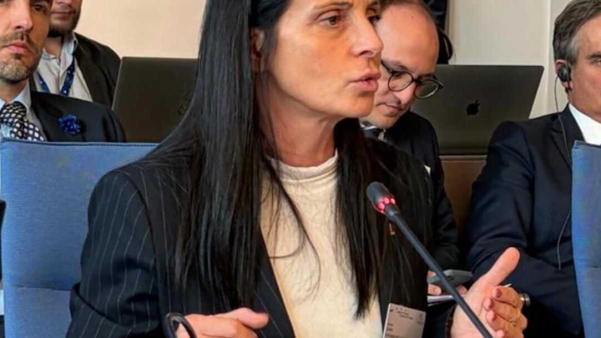 Immagine di Gava al Consiglio d’Europa: piano da 200 milioni per la Terra dei Fuochi