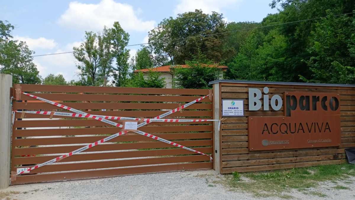 Immagine di La piccola Anisa che non sapeva nuotare e un’accusa di omicidio che può arrivare fino all’Onu