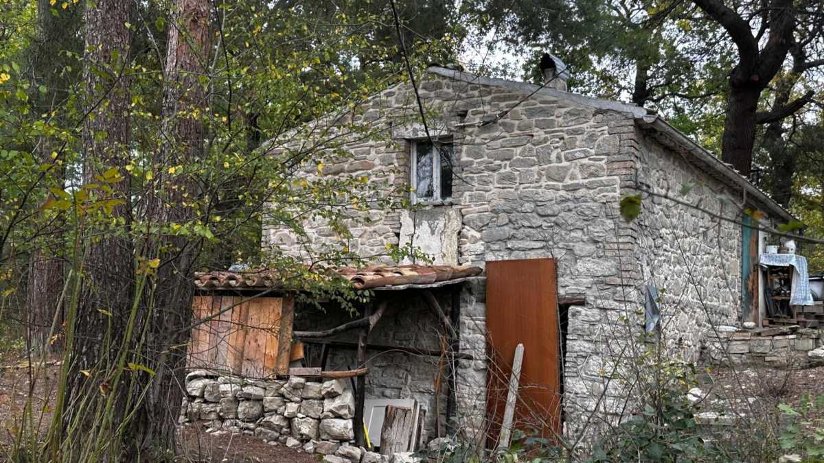 Immagine di La maggioranza prepara un ddl ad hoc per la famiglia nel bosco, con un occhio alla propaganda