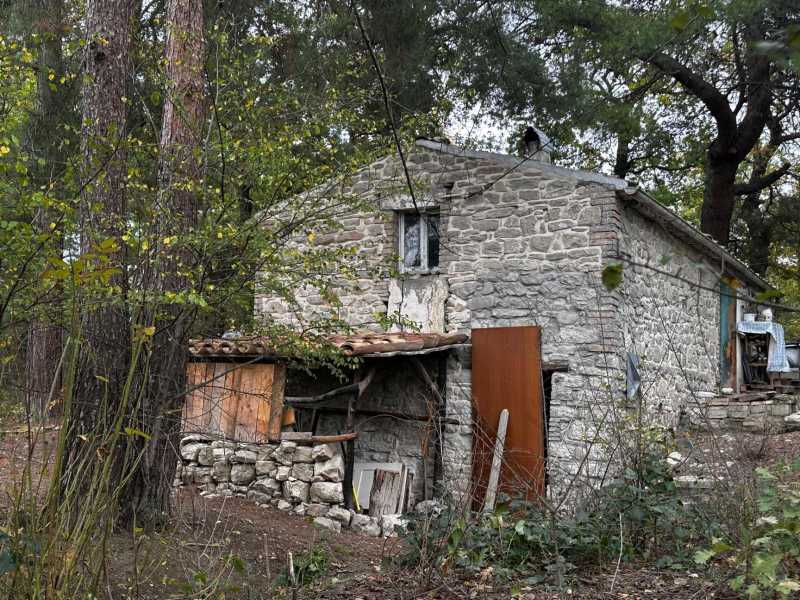 La casa nel bosco a Palmoli dove vivono Nathan Trevallion e Catherine Birmingham (foto Ansa)&nbsp;<br />
