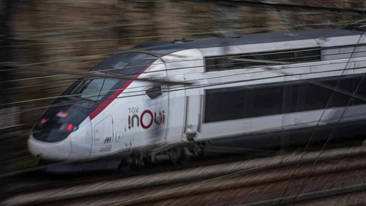Immagine di Per l'ingresso dei Tgv francesi nell'alta velocità italiana ci sono ancora diversi nodi da sciogliere