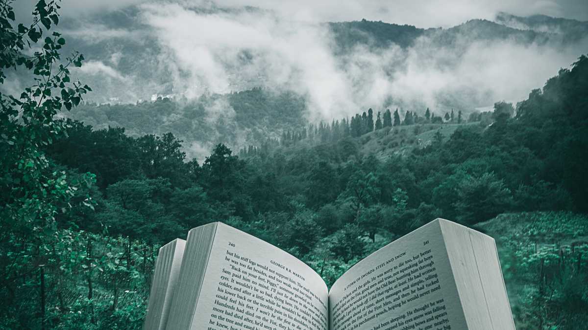 Immagine di Un libro di sogni ma soprattutto da veglia