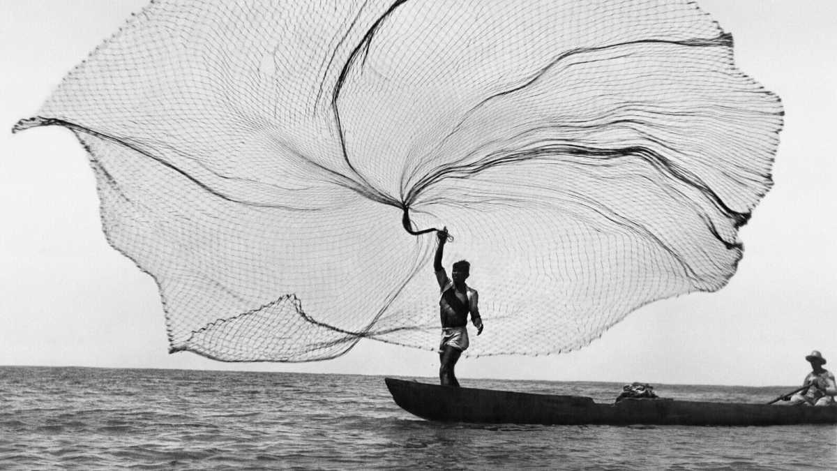 Immagine di Metamorfosi: la fotografia come forma del cambiamento